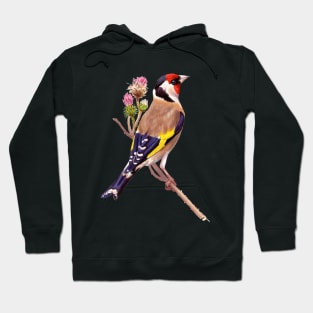 European Goldfinch Hoodie